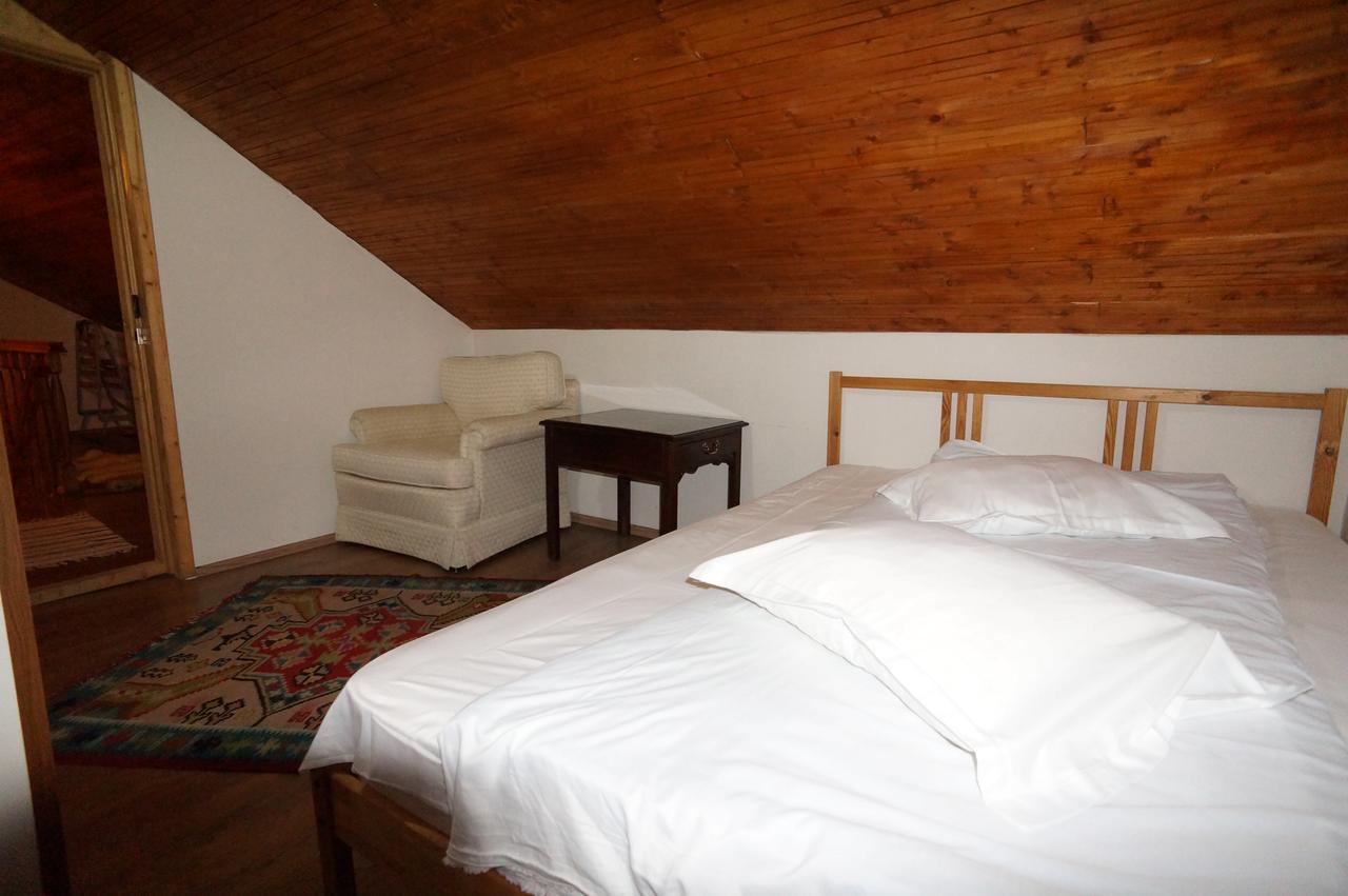 Hotel Casa Paltinu Lunca Mare Zewnętrze zdjęcie